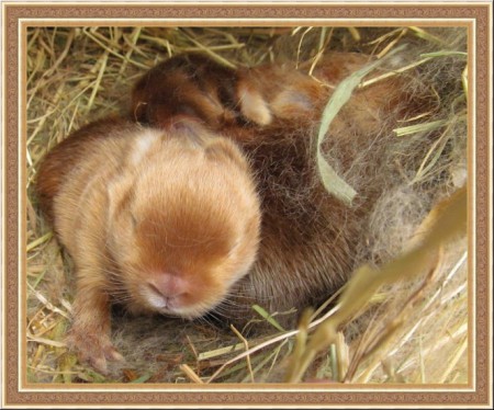 Nem látok még, de már nézek! :)